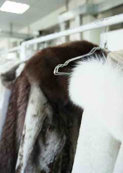 drycleaners websites